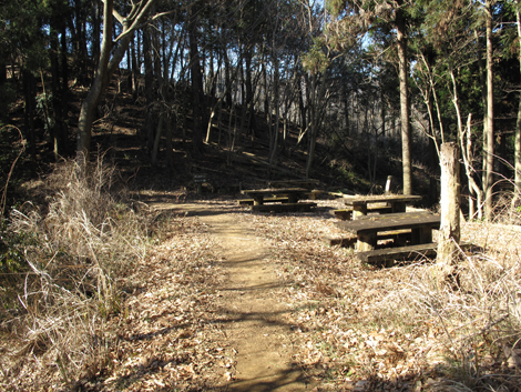 20170126hike (129)
